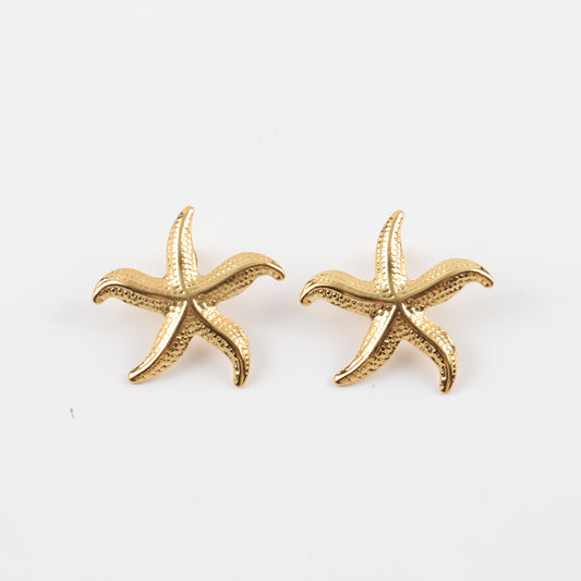 Σκουλαρίκια από ατσάλι